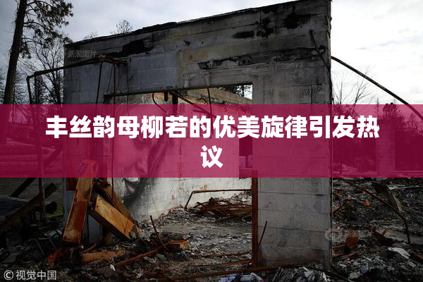丰丝韵母柳若的优美旋律引发热议