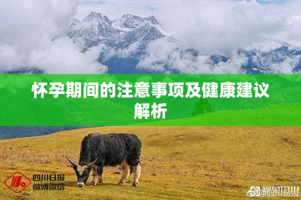 怀孕期间的注意事项及健康建议解析