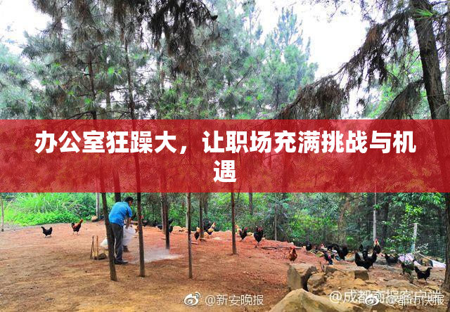办公室狂躁大，让职场充满挑战与机遇