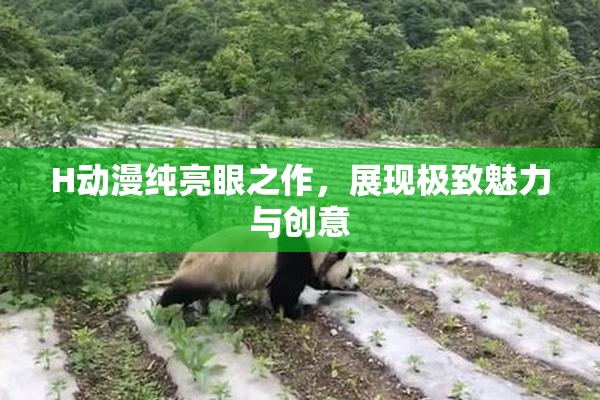 H动漫纯亮眼之作，展现极致魅力与创意