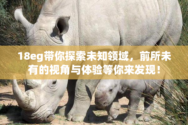 18eg带你探索未知领域，前所未有的视角与体验等你来发现！