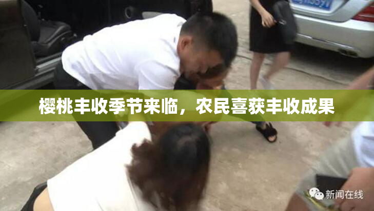 樱桃丰收季节来临，农民喜获丰收成果