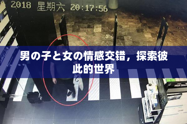 男の子と女の情感交错，探索彼此的世界