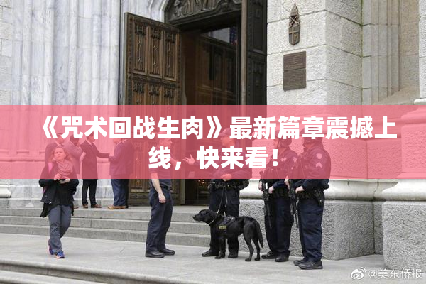 《咒术回战生肉》最新篇章震撼上线，快来看！
