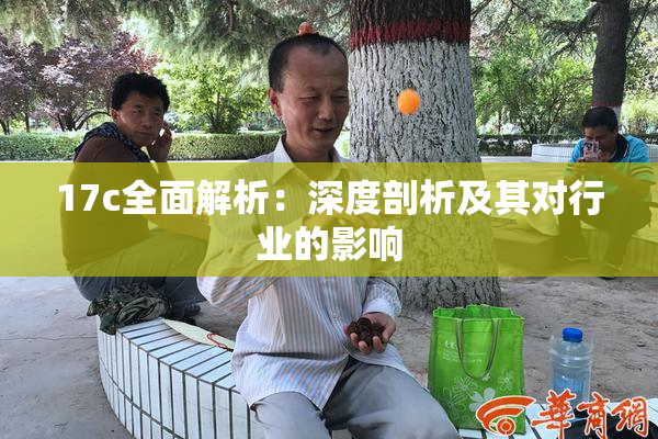 17c全面解析：深度剖析及其对行业的影响