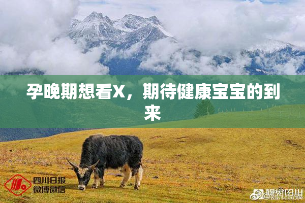 孕晚期想看X，期待健康宝宝的到来