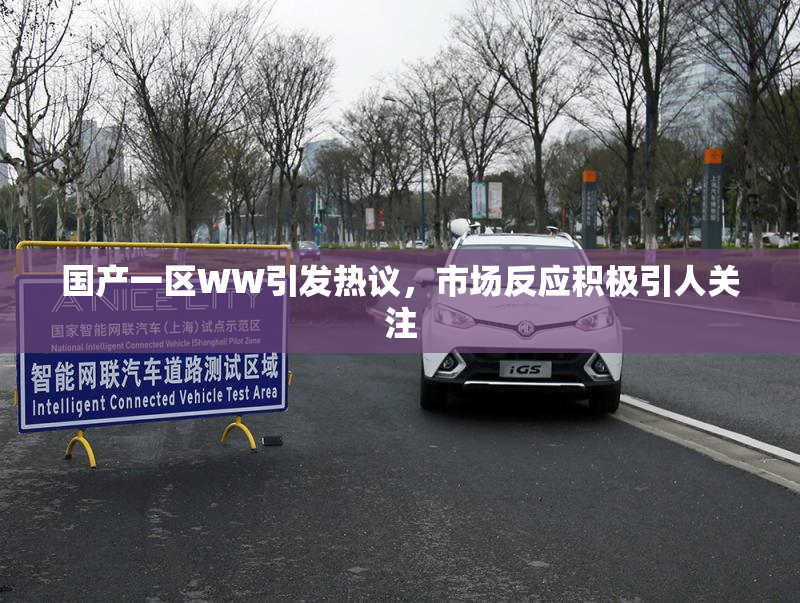 国产一区WW引发热议，市场反应积极引人关注