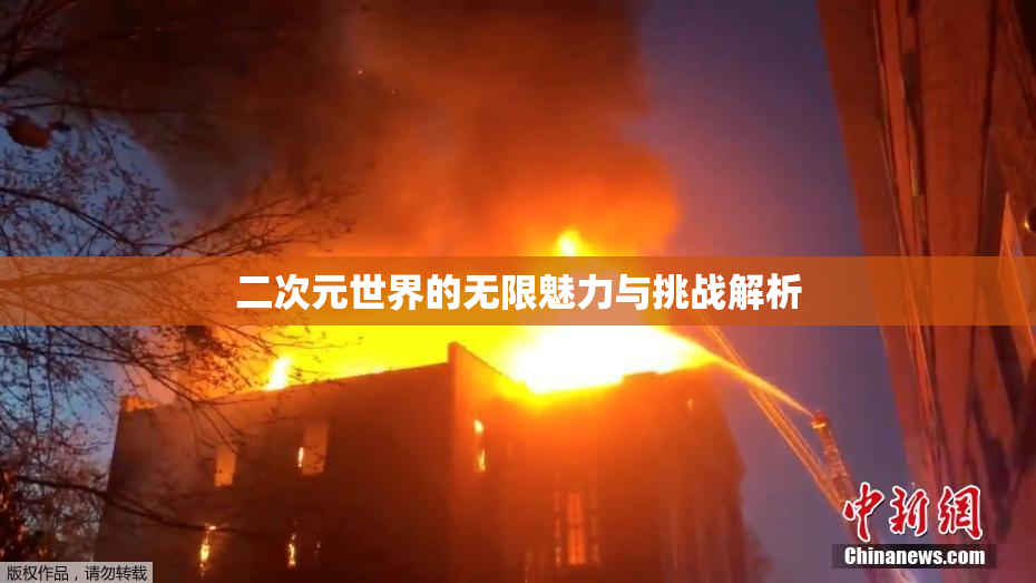 二次元世界的无限魅力与挑战解析
