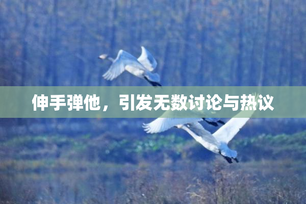 伸手弹他，引发无数讨论与热议