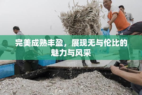 完美成熟丰盈，展现无与伦比的魅力与风采