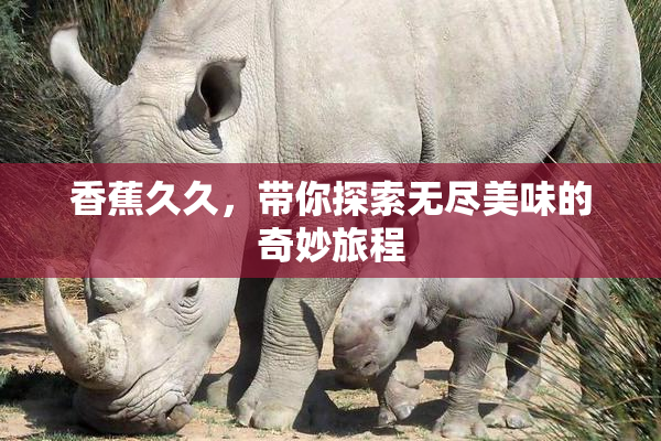 香蕉久久，带你探索无尽美味的奇妙旅程