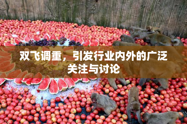 双飞调重，引发行业内外的广泛关注与讨论