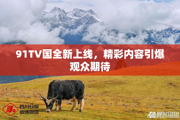 91TV国全新上线，精彩内容引爆观众期待