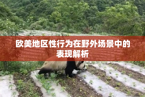 欧美地区性行为在野外场景中的表现解析