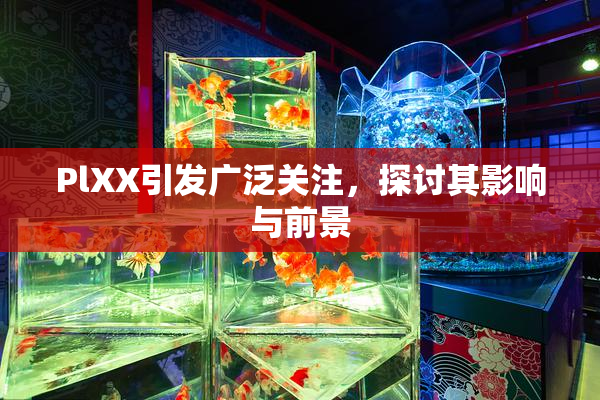 PlXX引发广泛关注，探讨其影响与前景