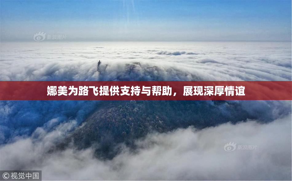 娜美为路飞提供支持与帮助，展现深厚情谊
