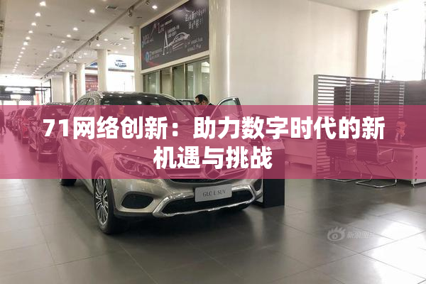 71网络创新：助力数字时代的新机遇与挑战