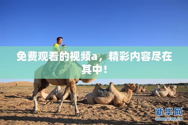 免费观看的视频a，精彩内容尽在其中！