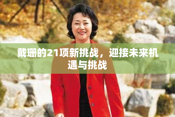 戴珊的21项新挑战，迎接未来机遇与挑战