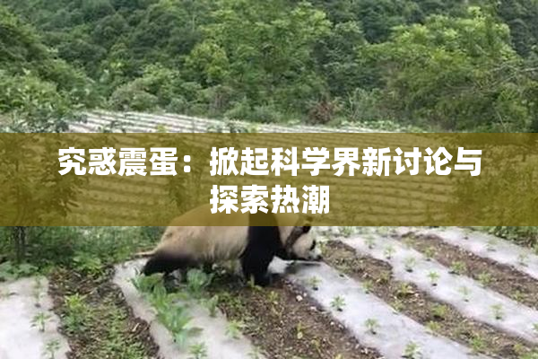 究惑震蛋：掀起科学界新讨论与探索热潮