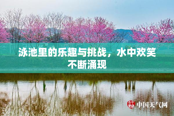 泳池里的乐趣与挑战，水中欢笑不断涌现