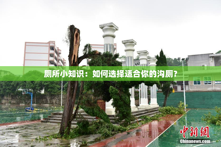 厕所小知识：如何选择适合你的沟厕？