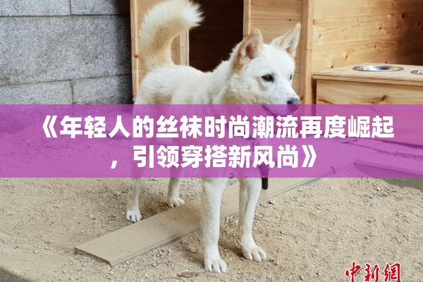 《年轻人的丝袜时尚潮流再度崛起，引领穿搭新风尚》