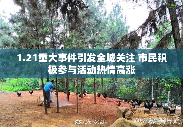 1.21重大事件引发全城关注 市民积极参与活动热情高涨