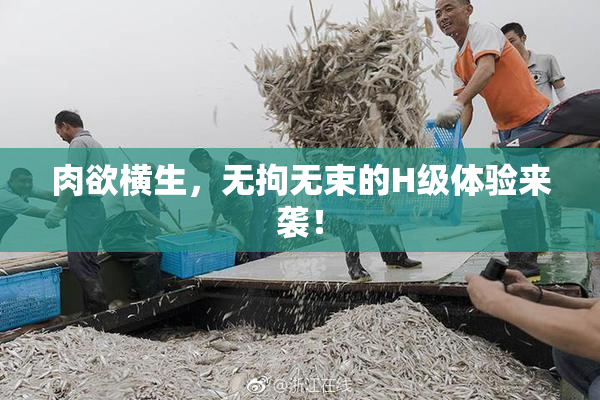 肉欲横生，无拘无束的H级体验来袭！