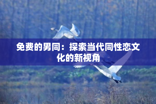 免费的男同：探索当代同性恋文化的新视角
