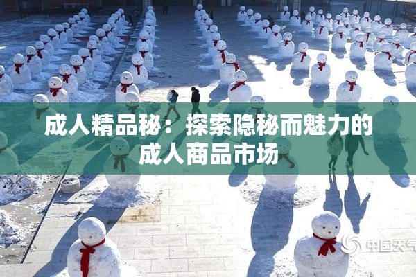 成人精品秘：探索隐秘而魅力的成人商品市场