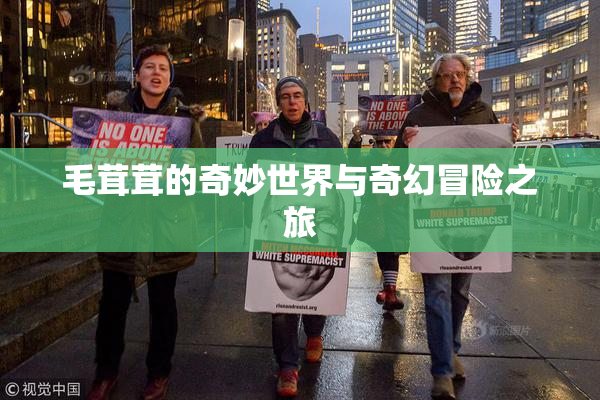 毛茸茸的奇妙世界与奇幻冒险之旅