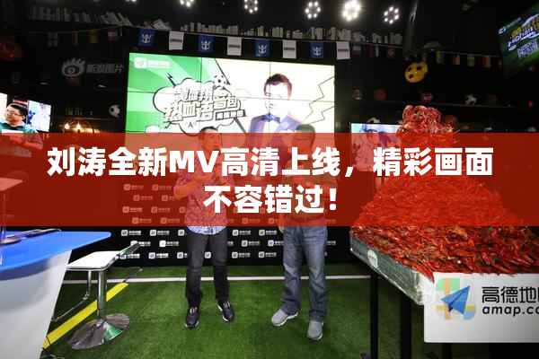 刘涛全新MV高清上线，精彩画面不容错过！
