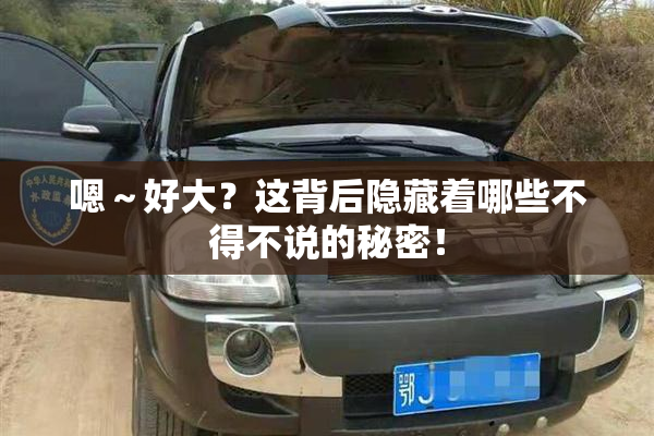 嗯～好大？这背后隐藏着哪些不得不说的秘密！