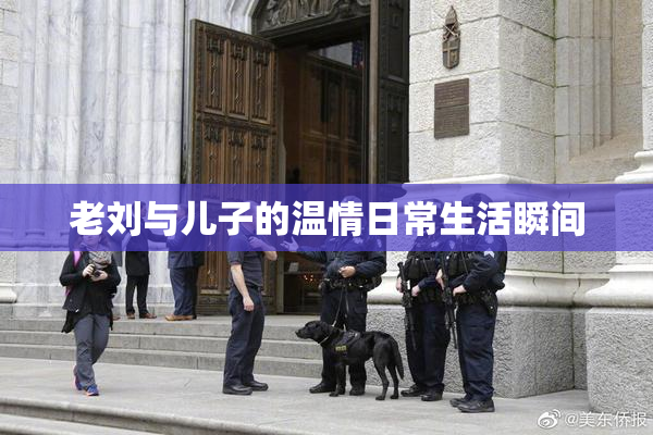 老刘与儿子的温情日常生活瞬间