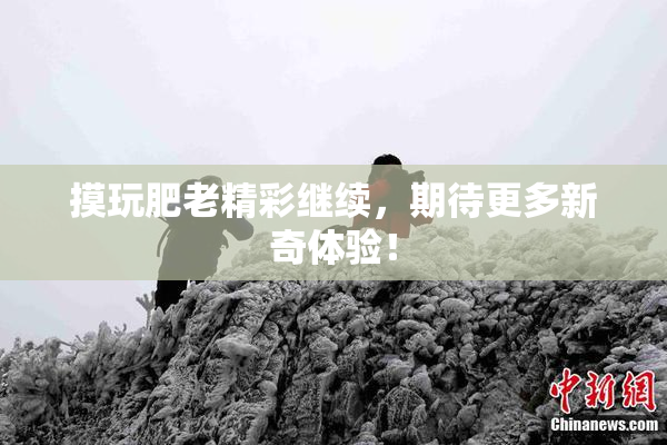 摸玩肥老精彩继续，期待更多新奇体验！