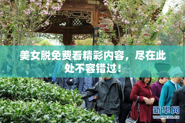美女脱免费看精彩内容，尽在此处不容错过！