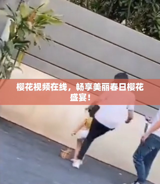 樱花视频在线，畅享美丽春日樱花盛宴！