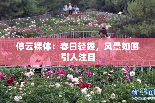 停云裸体：春日轻舞，风景如画引人注目