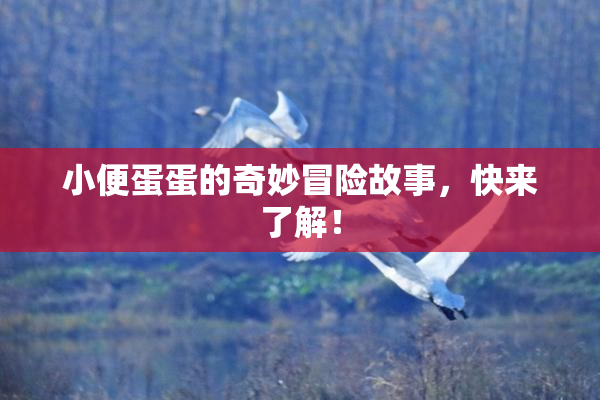 小便蛋蛋的奇妙冒险故事，快来了解！