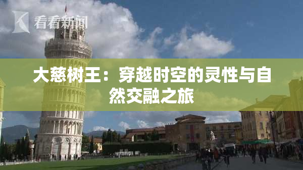 大慈树王：穿越时空的灵性与自然交融之旅