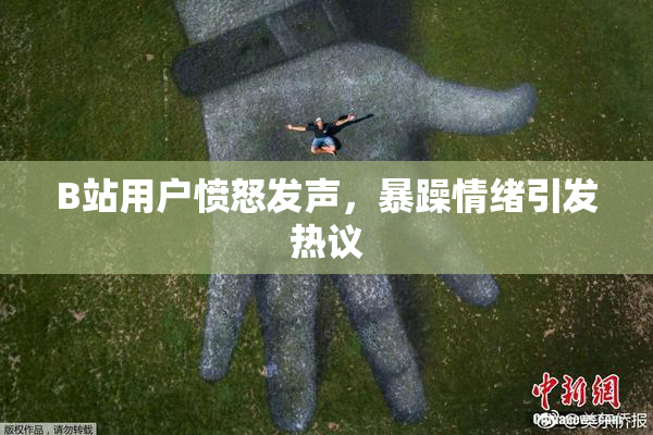 B站用户愤怒发声，暴躁情绪引发热议