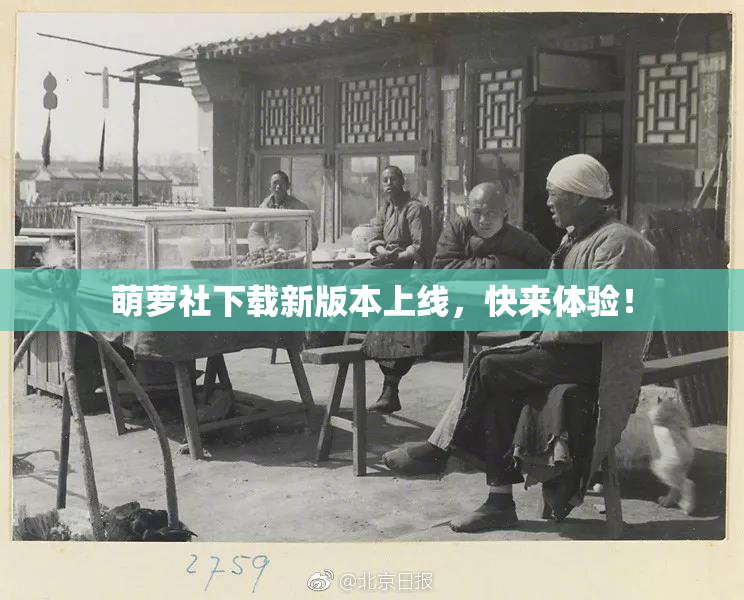 萌萝社下载新版本上线，快来体验！