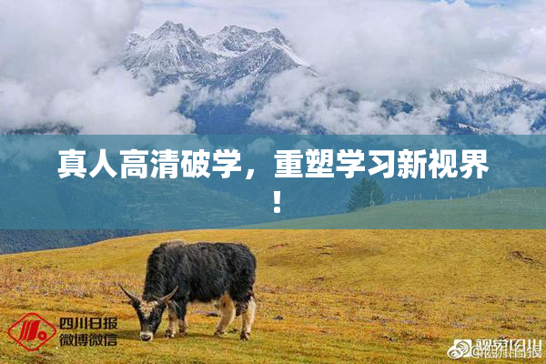 真人高清破学，重塑学习新视界！
