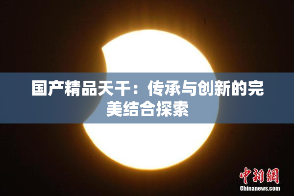 国产精品天干：传承与创新的完美结合探索