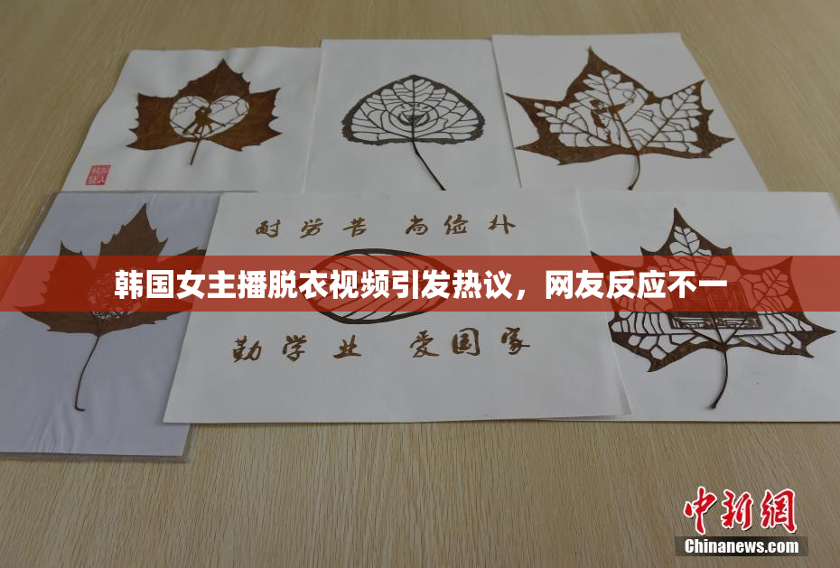 韩国女主播脱衣视频引发热议，网友反应不一