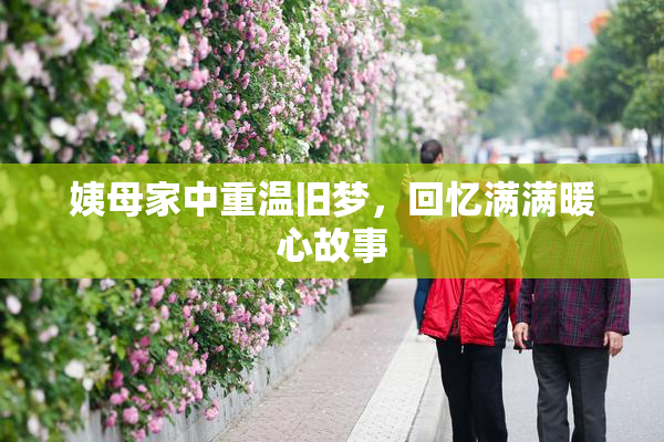 姨母家中重温旧梦，回忆满满暖心故事