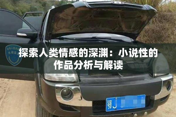 探索人类情感的深渊：小说性的作品分析与解读