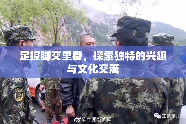 足控脚交里番，探索独特的兴趣与文化交流