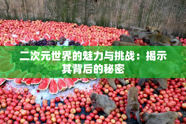 二次元世界的魅力与挑战：揭示其背后的秘密